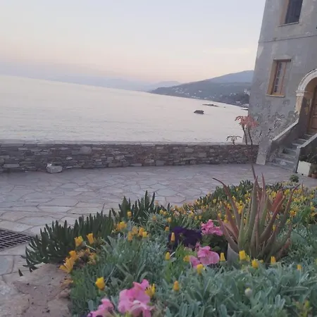 Apartment Erbalunga : Renove, Bel Emplacement Brando